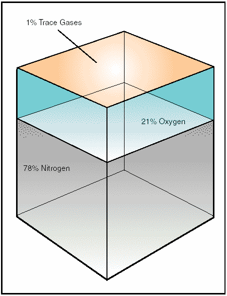 Figure 1: Composition of the atmosphere. Within this envelope of gases, 